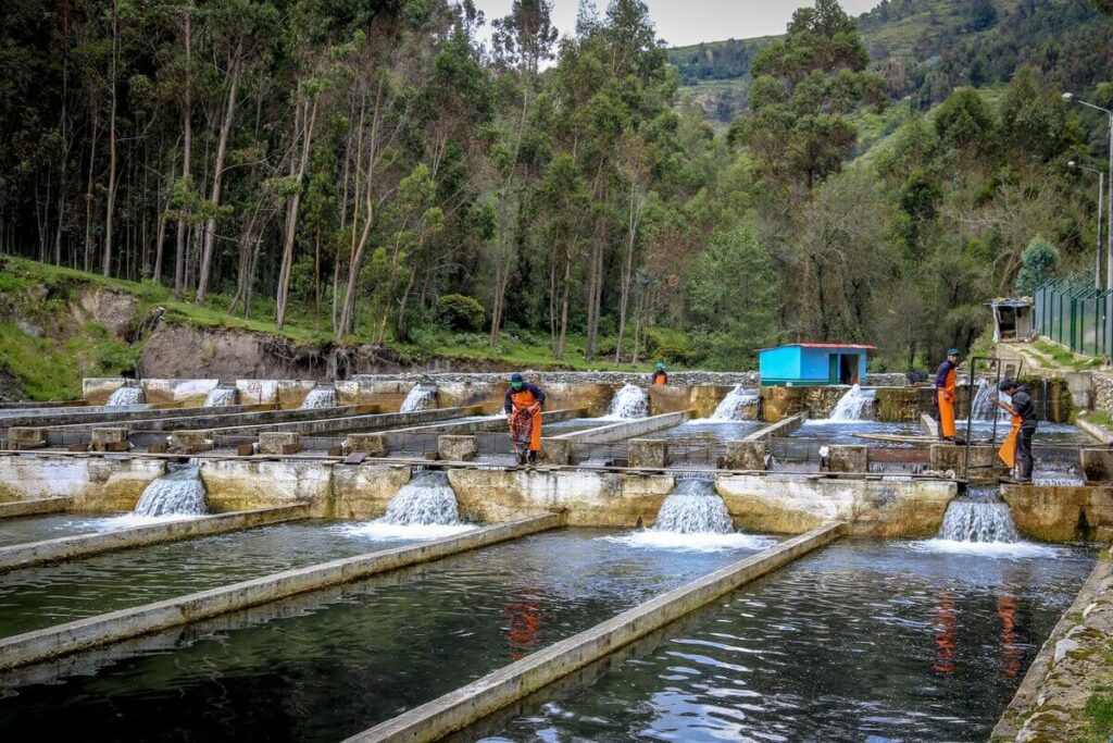 Gobierno Promulga Ley Que Reconoce Pesca Ancestral Y Tradicional